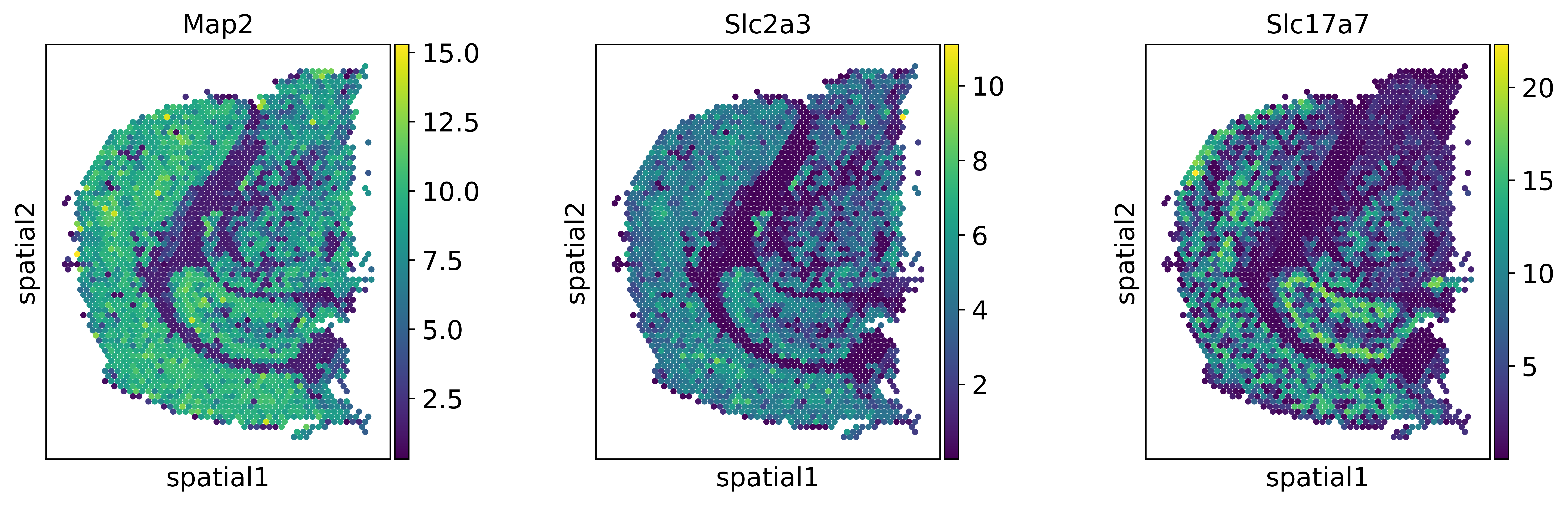 ../_images/tutorials_novosparc_integration_19_1.png